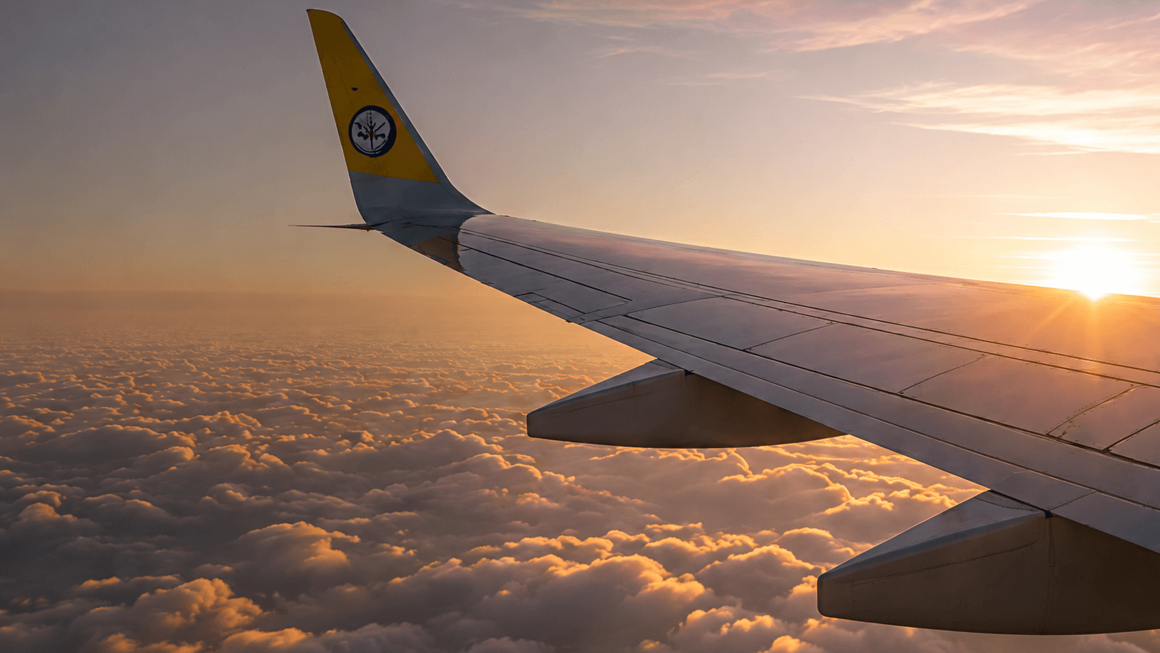 Plane Wing